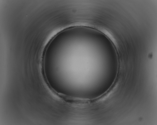 X0000094901093200712131425