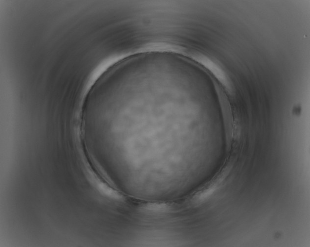 X0000094901094200712131425