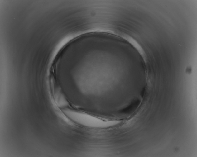 X0000094901096200712131425