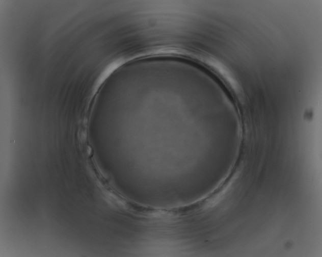 X0000094901097200712131425