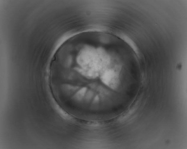 X0000094901099200712131425