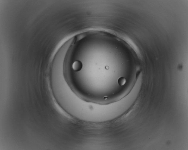 X0000094901100200712131425