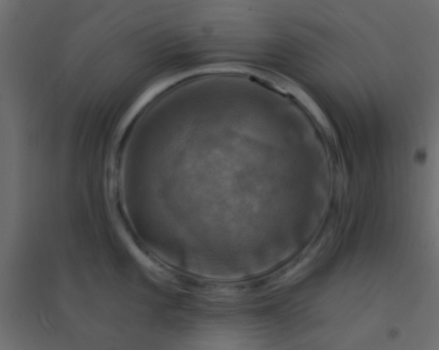 X0000094901101200712131425
