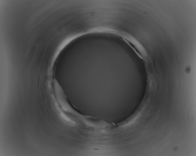 X0000094901102200712131425