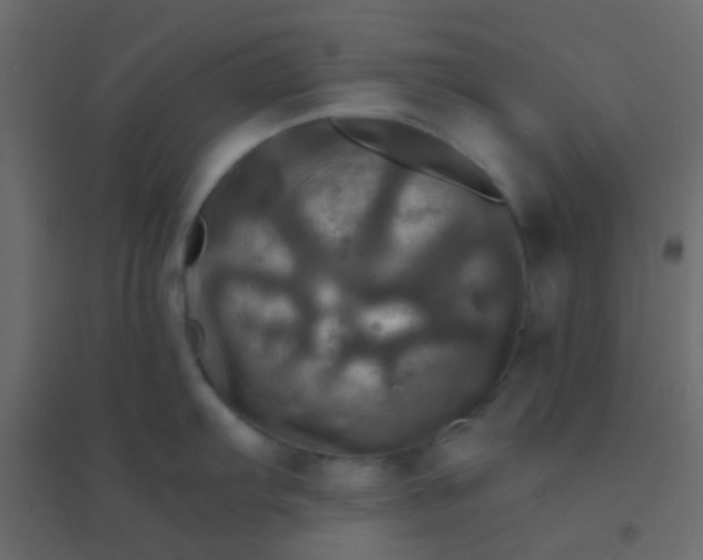 X0000094901103200712131425