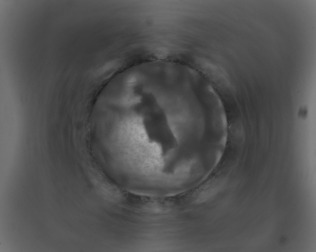 X0000094901105200712131424