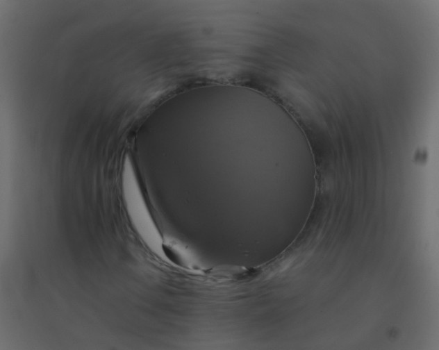 X0000094901106200712131424