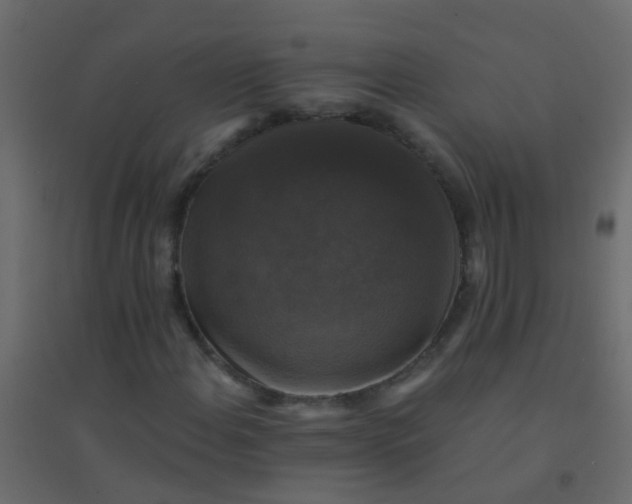X0000094901108200712131424
