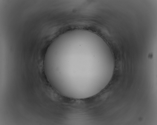X0000094901109200712131424