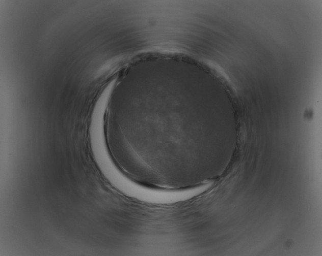 X0000094901110200712131424
