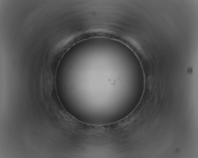 X0000094901111200712131424