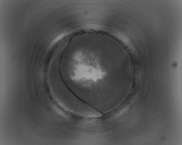 X0000094901112200712131424