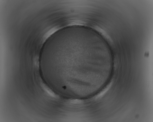 X0000094901113200712131424