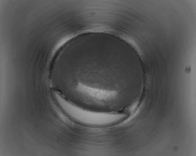 X0000094901114200712131424