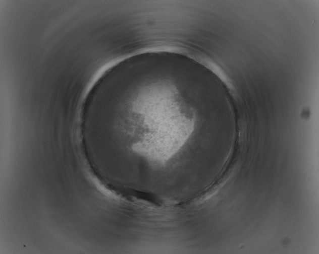 X0000094901116200712131424