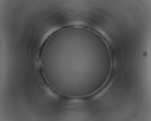 X0000094901117200712131424