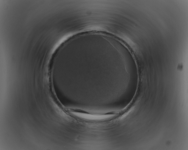 X0000094901118200712131424
