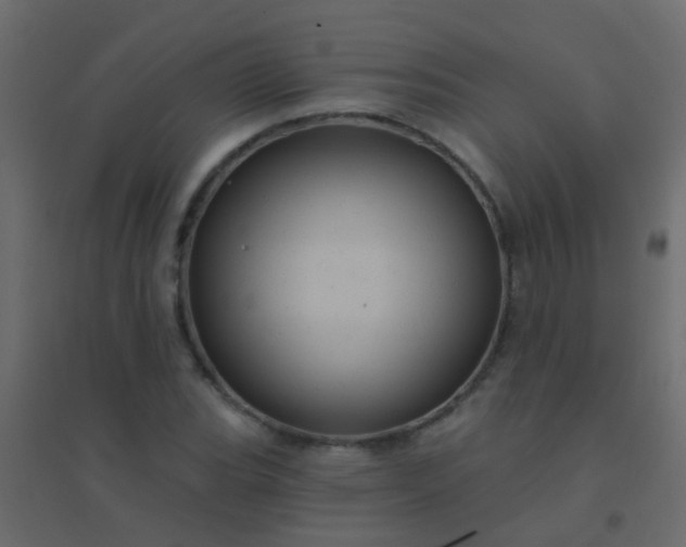 X0000094901119200712131424