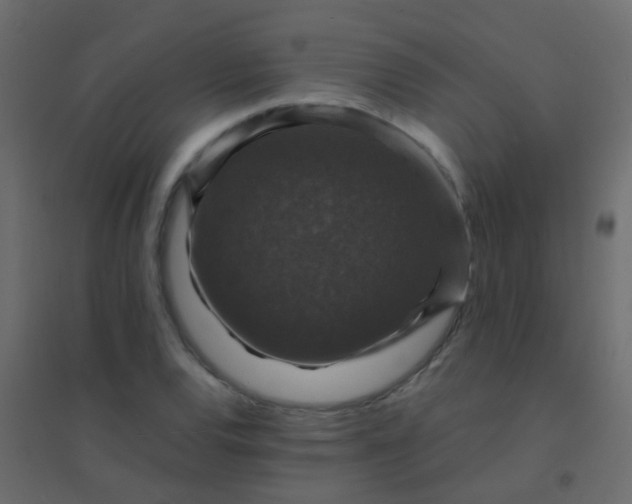 X0000094901120200712131424