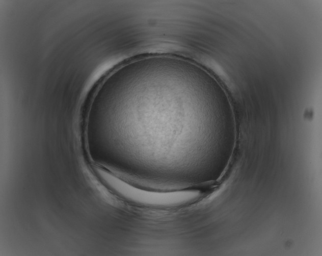 X0000094901122200712131424