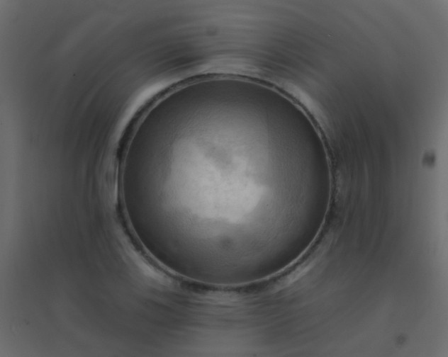 X0000094901123200712131424
