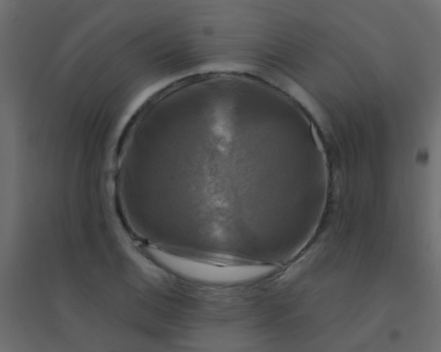 X0000094901124200712131424