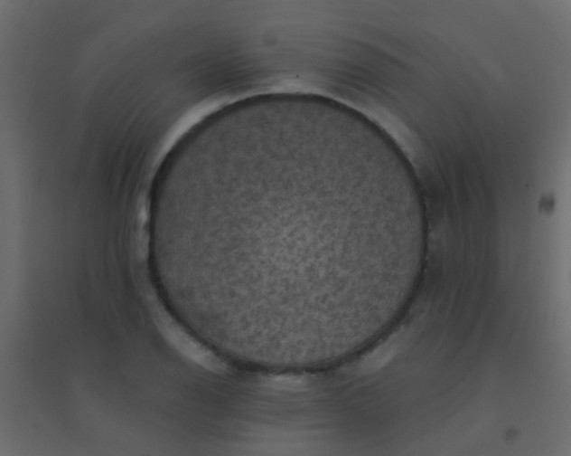X0000094901126200712131425