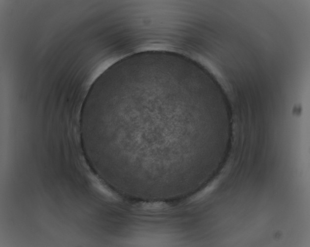 X0000094901129200712131425