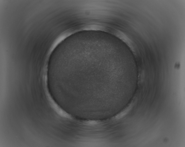 X0000094901130200712131425