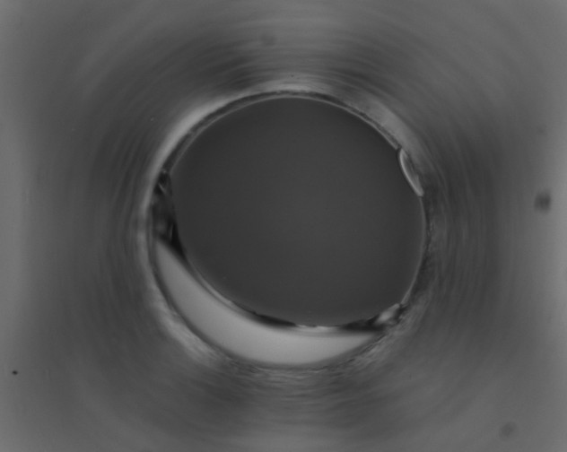 X0000094901132200712131425