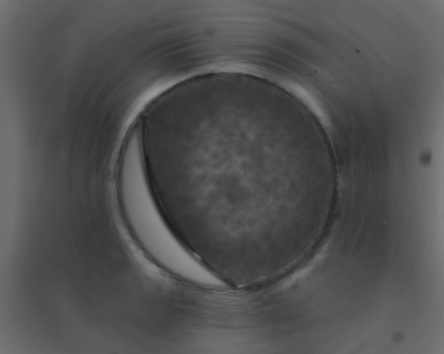 X0000094901133200712131425