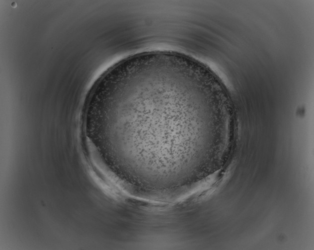 X0000094901134200712131425