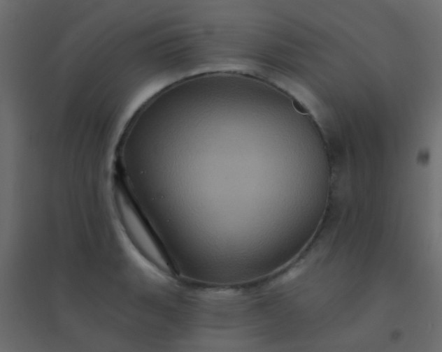 X0000094901135200712131425