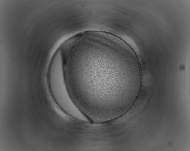 X0000094901136200712131425
