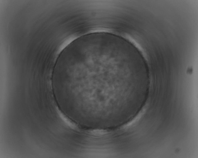 X0000094901137200712131425