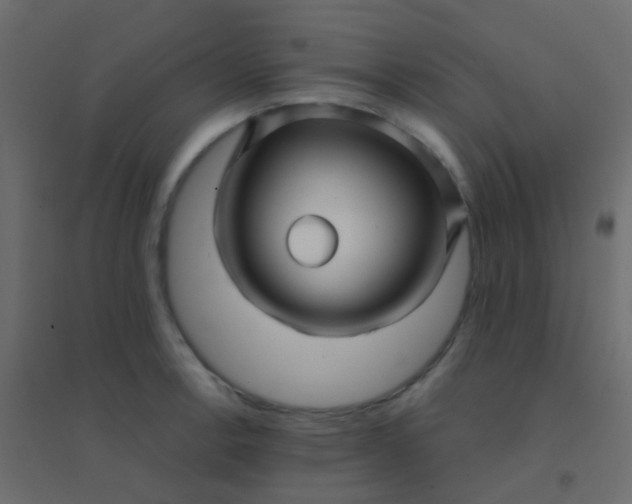X0000094901138200712131425