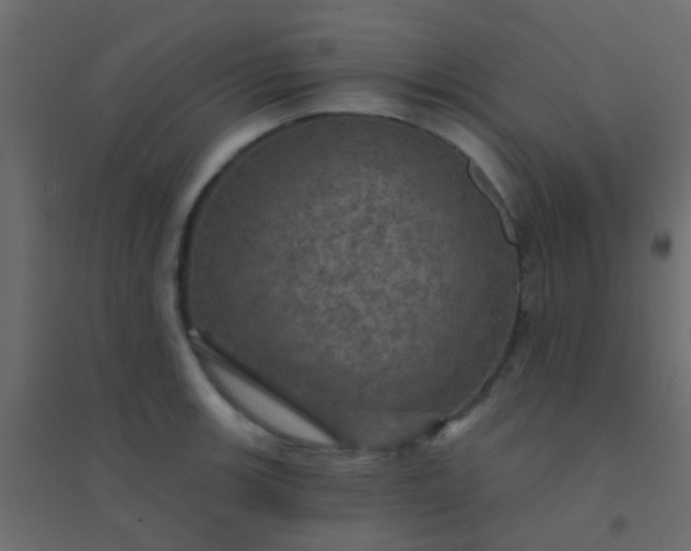 X0000094901139200712131425