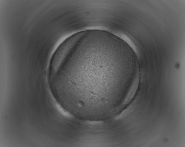 X0000094901140200712131425