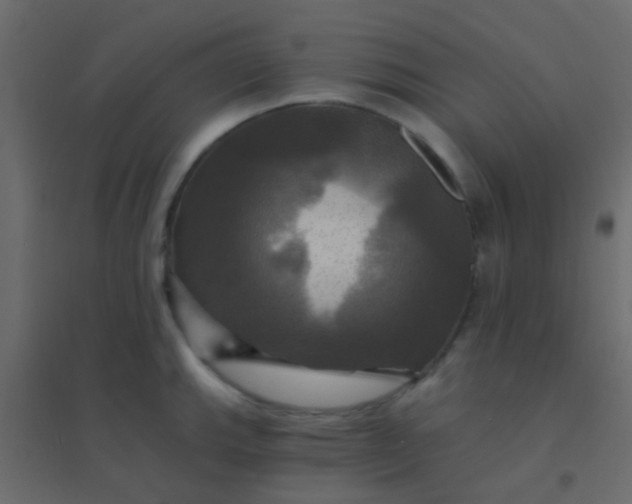 X0000094901143200712131425