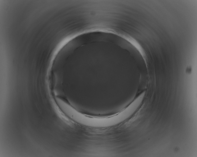 X0000094901144200712131425