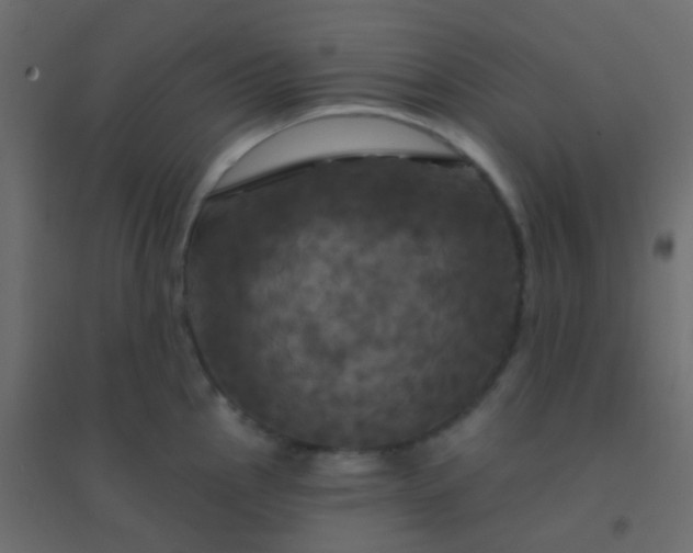 X0000094901145200712131425