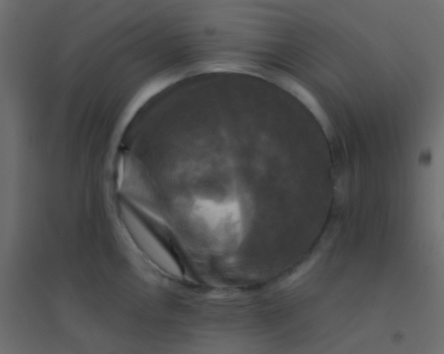 X0000094901146200712131425