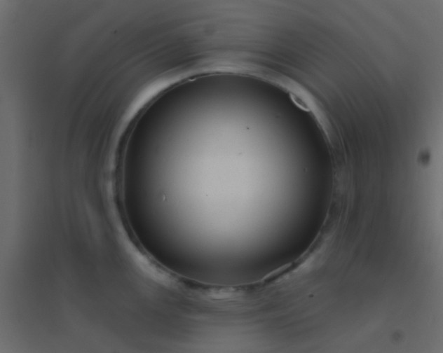 X0000094901147200712131425