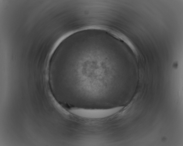 X0000094901148200712131425