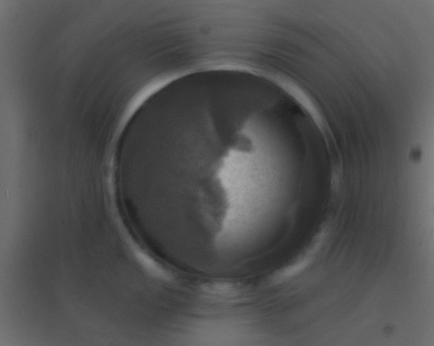 X0000094901149200712131425