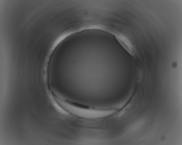 X0000094901151200712131425