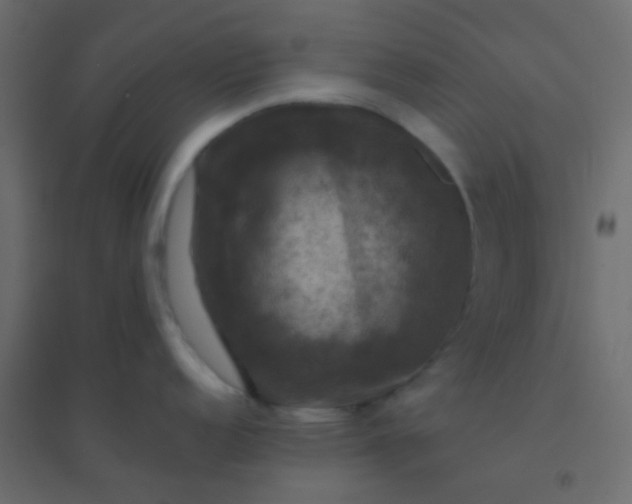 X0000094901152200712131425