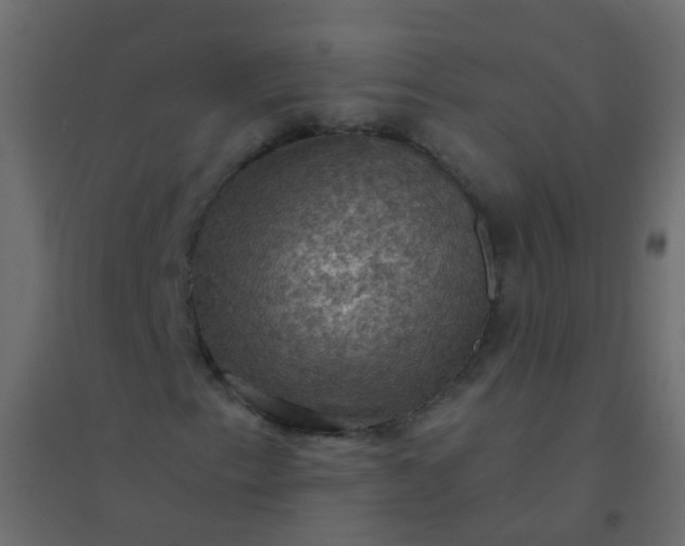 X0000094901153200712131424