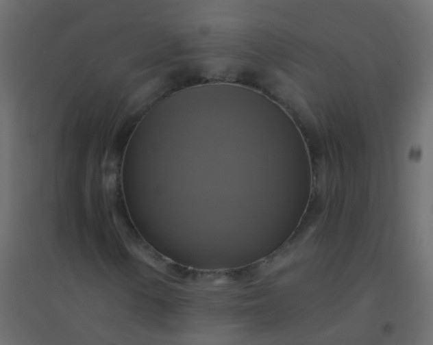 X0000094901154200712131424