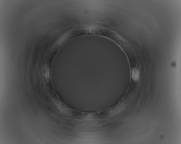 X0000094901155200712131424